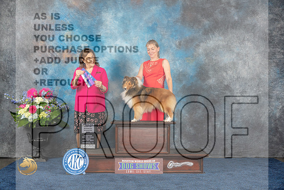 Shetland Sheepdog #25 Fri WD BOW MAJ Judge Joan LiebesMJP_4323_HOUSTON_2023_HR3