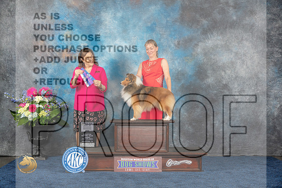 Shetland Sheepdog #25 Fri WD BOW MAJ Judge Joan LiebesMJP_4326_HOUSTON_2023_HR3