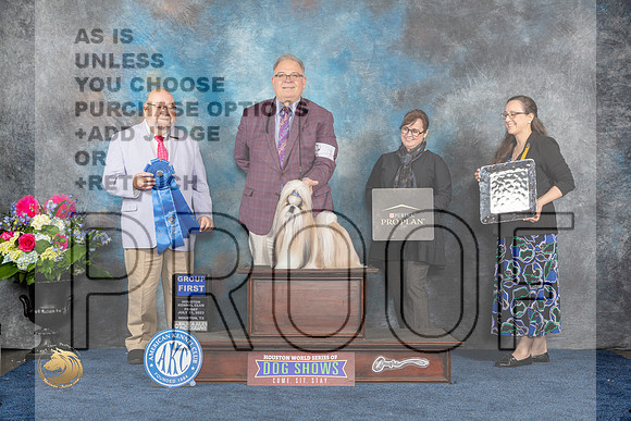 Shih Tzu #11 G1 Judge Ray Filburn JrMJP_4712_HOUSTON_2023_HR3