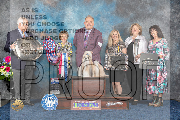 Shih Tzue #7 Fri BIS Judge Pat TrotterMJP_4764_HOUSTON_2023_HR3