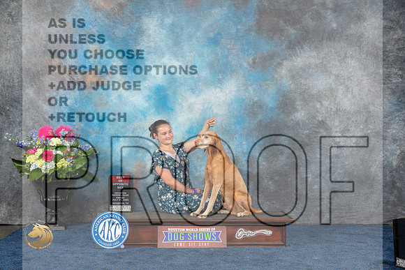 Vizsla #23 Fri BOS Judge Del RichardsMJP_3907_HOUSTON_2023_HR3