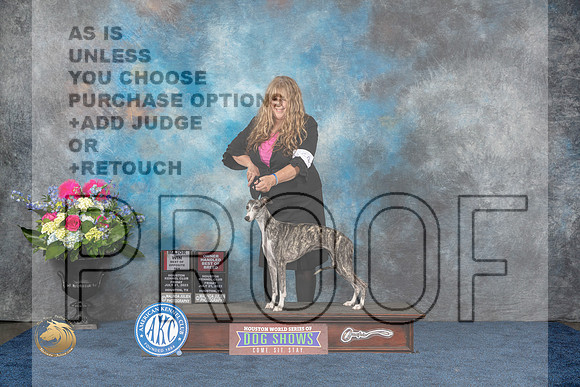 Whippet #50 Fri BOS BOBOH MAJ Judge Anne GallantMJP_4035_HOUSTON_2023_HR3