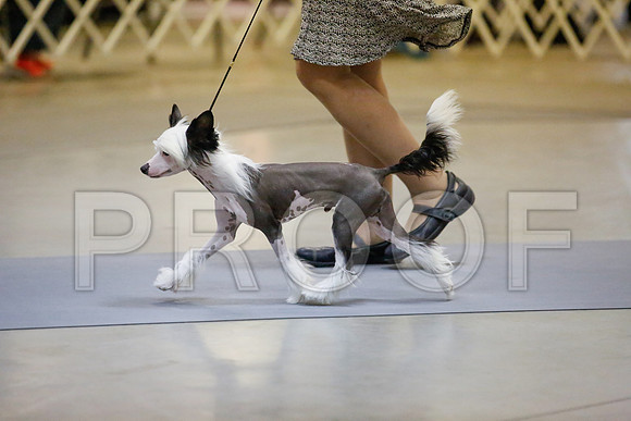 _JJ_9038-AmarilloSept2014-HR3