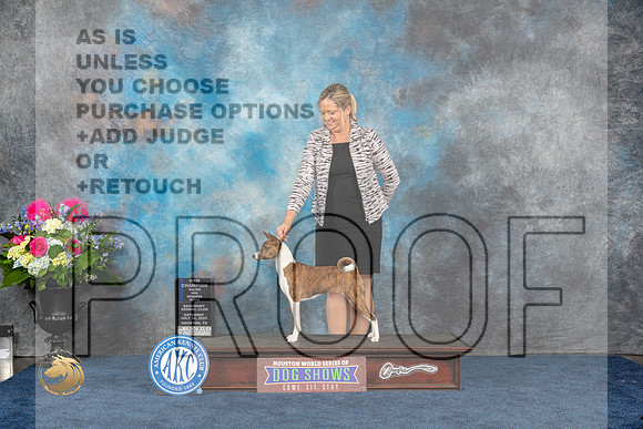 Basenji #6 Sat BW WB NC MAJ Judge Raymond Filburn JrMJP_5204_HOUSTON_2023_HR3