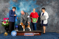 Beagle 15 #5 Sat G1 Judge Charles Olvis