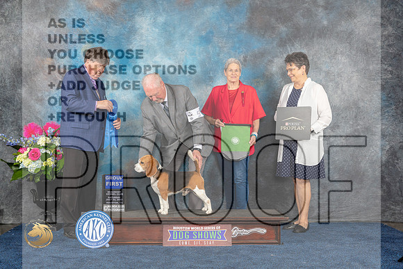 Beagle 15 #5 Sat G1 Judge Charles OlvisMJP_5905_HOUSTON_2023_HR3