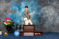 Bichon Frise #18 Sat WB BW BBB NC MAJ Judge Ken Levison