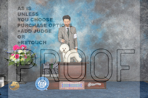Bichon Frise #18 Sat WB BW BBB NC MAJ Judge Ken LevisonMJP_5717_HOUSTON_2023_HR3