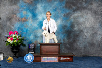 Bichon Frise #5 Sat WD MAJ Judge Ken Levison