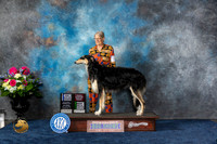 Borzoi #17 Sat WB BOW OHBB Judge Raymond Filburn Jr