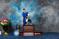 Boston Terrier #24 Sat BOB Judge Anne Gallant
