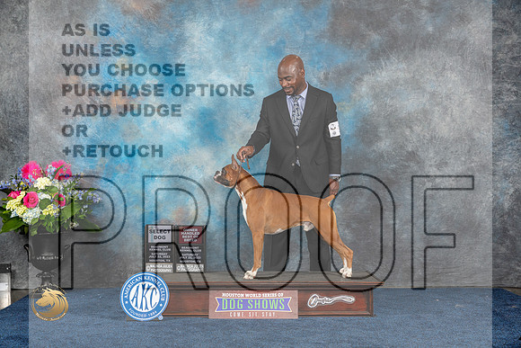 Boxer #17 Sat SD OHBOB Judge Donnelle RichardsMJP_5526_HOUSTON_2023_HR3