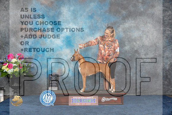 Boxer #32 Sat WB NC Judge Donnelle RichardsMJP_5551_HOUSTON_2023_HR3