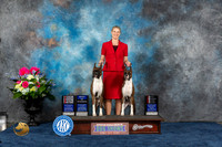 Boxer #42 #43 Wed WD BW BOS Judge Patricia Trotter Fri WB BOS Judge Elizabeth Muthard