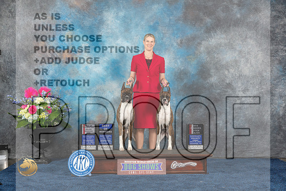 Boxer #42 #43 Wed WD BW BOS Judge Patricia Trotter Fri WB BOS Judge Elizabeth MuthardMJP_5768_HOUSTON_2023_HR3