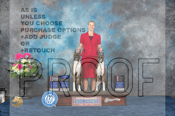Boxer #42 #43 Wed WD BW BOS Judge Patricia Trotter Fri WB BOS Judge Elizabeth MuthardMJP_5770_HOUSTON_2023_HR3