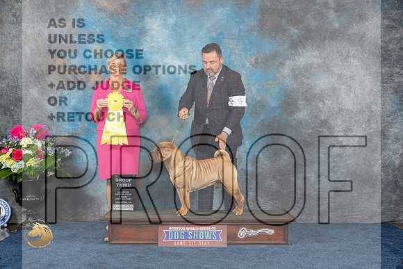 Chinese Shar Pei #5 Fri G3 Judge Cheryl PattersonMJP_4552_HOUSTON_2023_HR3