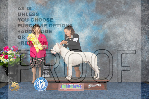 Dogo Argentino #11 Fri G3 Judge Joan LiebesMJP_4637_HOUSTON_2023_HR3