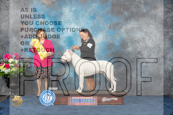 Dogo Argentino #11 Fri G3 Judge Joan LiebesMJP_4639_HOUSTON_2023_HR3