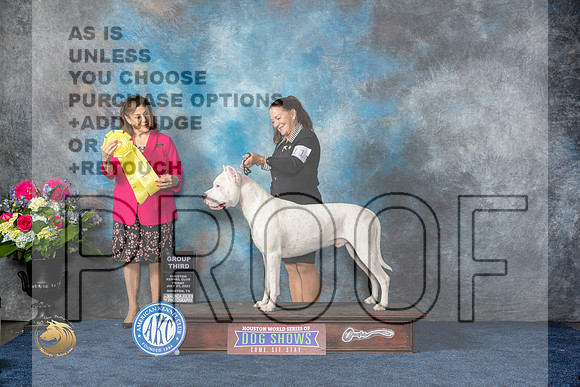 Dogo Argentino #11 Fri G3 Judge Joan LiebesMJP_4642_HOUSTON_2023_HR3