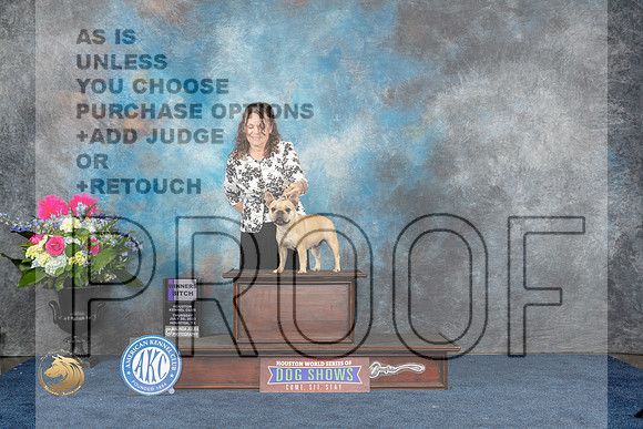 French Bulldog #38 Thurs WB Judge Donnelle RichardsMJP_5924_HOUSTON_2023_HR3