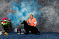German Shepherd Dog #36 Sat BOS NGC Judge Elizabeth Muthard