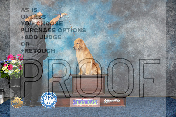 Golden Retriever Sat CUSTOMMJP_5415_HOUSTON_2023_HR3