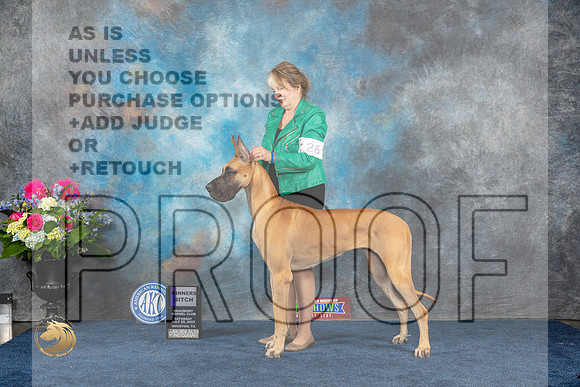 Great Dane #26 Sat WB Judge Donnelle RichardsMJP_5179_HOUSTON_2023_HR3