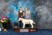 Labrador Retriever #11 Sat First Show Judge Charles Olvis