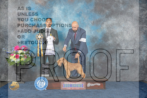 Lakeland Terrier #7 Fri G4 Judge Troy IngramMJP_4510_HOUSTON_2023_HR3