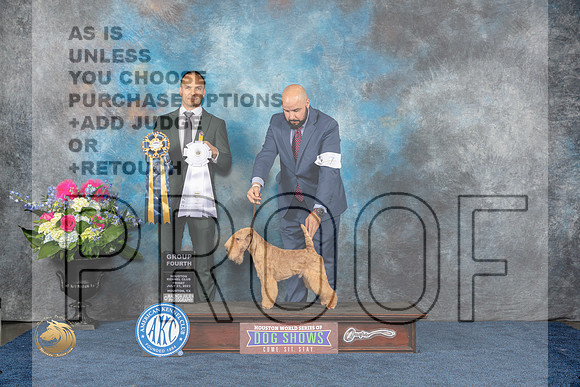Lakeland Terrier #7 Fri G4 Judge Troy IngramMJP_4512_HOUSTON_2023_HR3