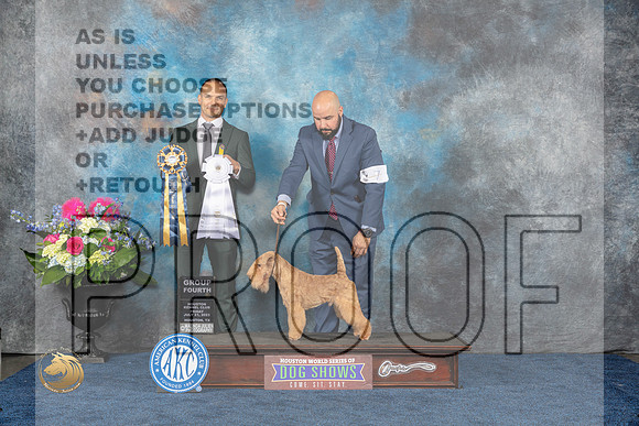 Lakeland Terrier #7 Fri G4 Judge Troy IngramMJP_4518_HOUSTON_2023_HR3