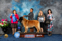Leonberger #10 Fri G1 Judge Joan Liebes