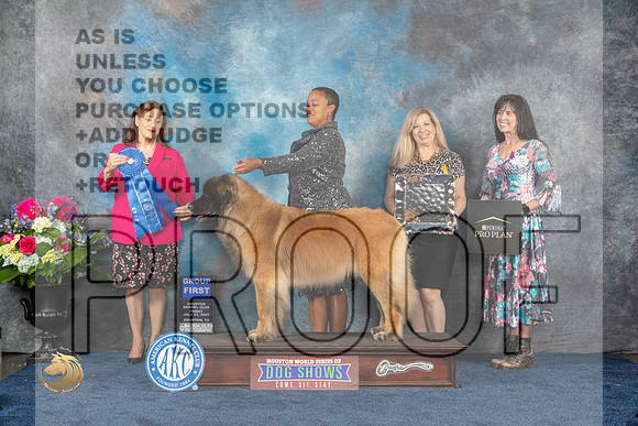 Leonberger #10 Fri G1 Judge Joan LiebesMJP_4620_HOUSTON_2023_HR3