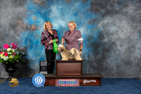 Lhasa Apso #16 Fri BISP Judge Gena Box Young