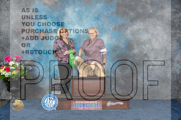 Lhasa Apso #16 Fri BISP Judge Gena Box YoungMJP_4563_HOUSTON_2023_HR3