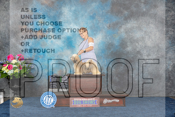 Lhasa Apso #16 Sat WB BOW NC MAJ Judge Ken LevisonMJP_5490_HOUSTON_2023_HR3