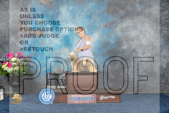 Lhasa Apso #16 Sat WB BOW NC MAJ Judge Ken LevisonMJP_5491_HOUSTON_2023_HR3