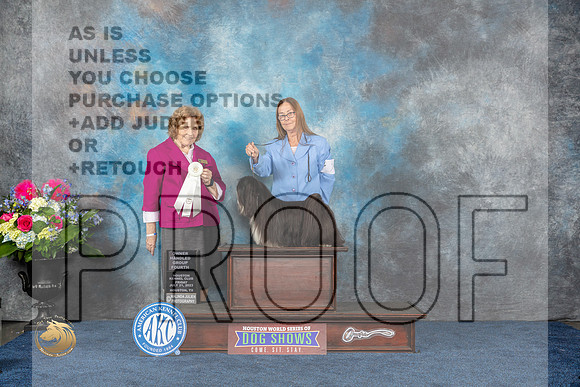 Lhasa Apso #7 Fri OHG3 Judge Donnelle RichardsMJP_4598_HOUSTON_2023_HR3