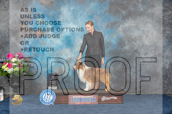Miniature American Shepherd #23 Fri WD BOW MAJ Judge Joan Liebes rMJP_5475_HOUSTON_2023_HR3