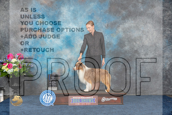 Miniature American Shepherd #23 Fri WD BOW MAJ Judge Joan Liebes rMJP_5478_HOUSTON_2023_HR3