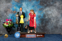 Miniature Schnauzer #5 Fri G3 Judge Troy Ingram