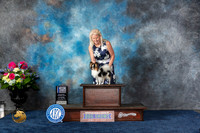 Papillon #5 Sat BOW Judge Elizabeth Muthard