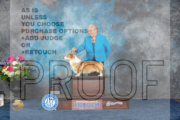 Pembroke Welsh Corgi #7 Sat WD BW NC Judge Eric LiebesMJP_5515_HOUSTON_2023_HR3