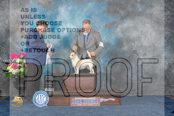 Pequeno #6 Sat G4 Judge Charles OlvisMJP_5917_HOUSTON_2023_HR3