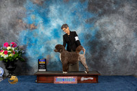 Portuguese Water Dog #6 Fri BOB Judge Pat Trotter