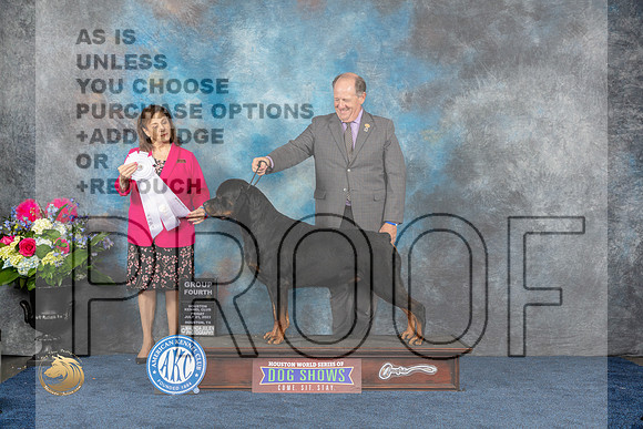 Rottweiler #11 Fri G4 Judge Joan LiebesMJP_4632_HOUSTON_2023_HR3