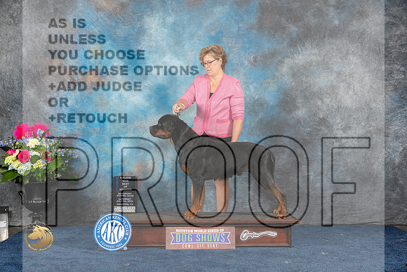 Rottweiler #5 Fri BOW MAJ Judge Donnelle RichardsMJP_5602_HOUSTON_2023_HR3