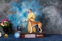 Saluki #12 Sat WB MAJ Judge Raymond Filburn Jr