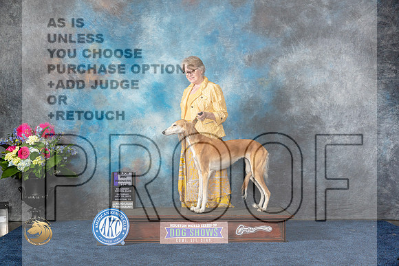 Saluki #12 Sat WB MAJ Judge Raymond Filburn JrMJP_5333_HOUSTON_2023_HR3